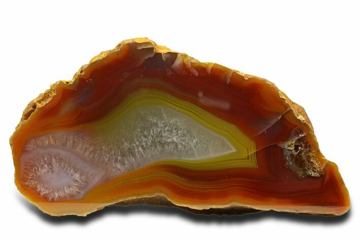 Polished Queensland Agate Nodule - Australia #323009